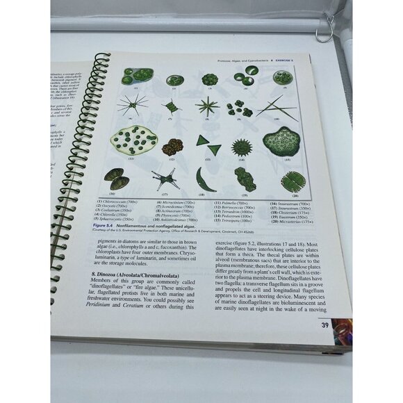 Benson's Microbiological Applications Laboratory Manual Concise by Brown 12th ED - Picture 8 of 13